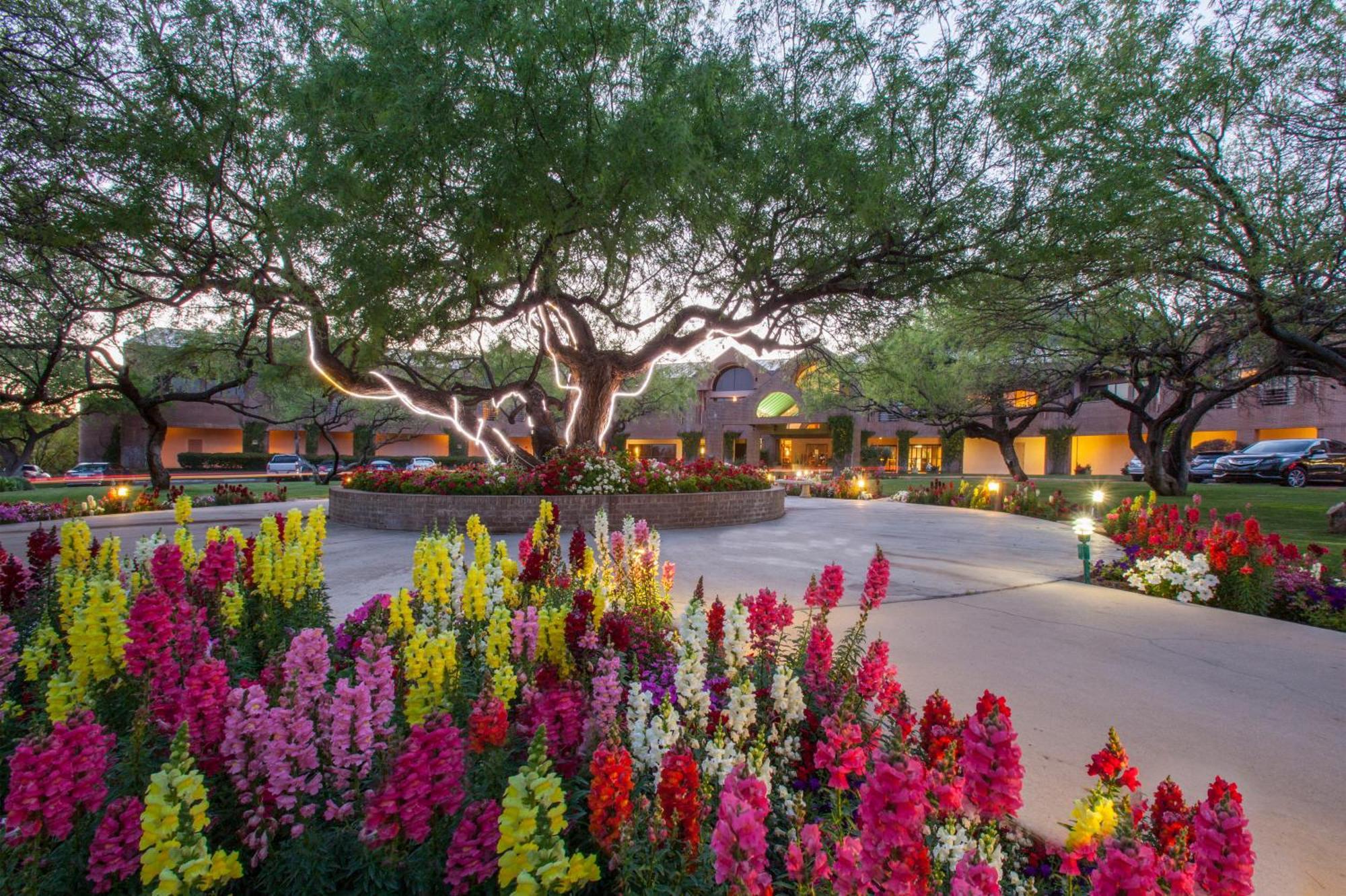 The Lodge At Ventana Canyon Тусон Екстериор снимка