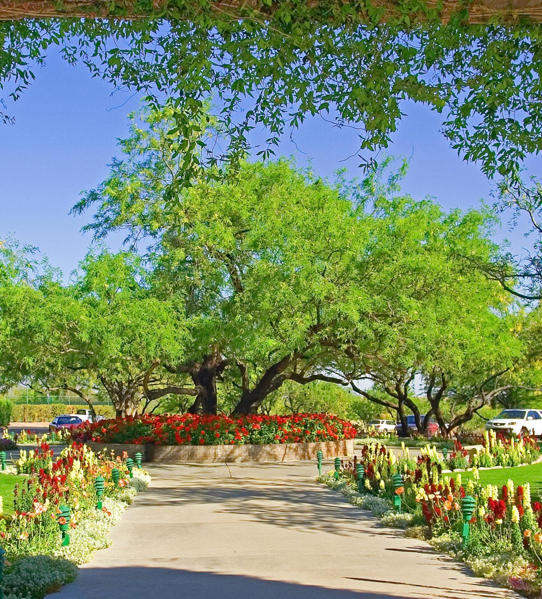 The Lodge At Ventana Canyon Тусон Екстериор снимка